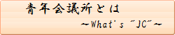 青年会議所とは